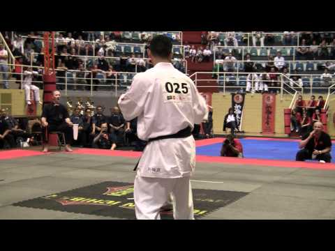 European Championship Shinkyokushin 2012 -Mateusz Garbacz - Gabor Rozsa