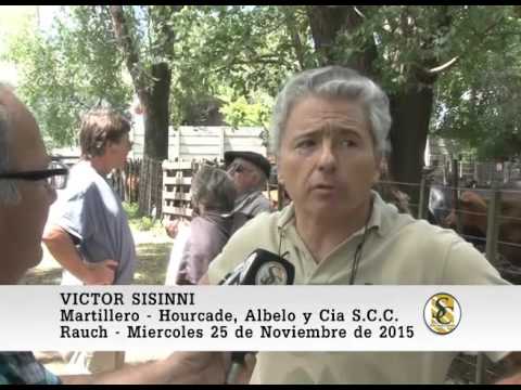 25-11-15 Nota Victor Sisinni - Hourcade, Albelo y Cia S.C.C. - Rauch.