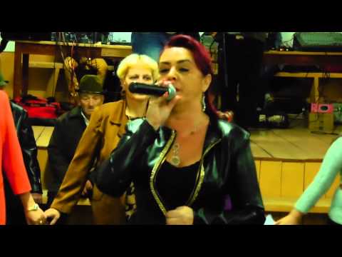 Negeie Voislova 2014