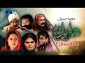 Sindh TV Soap Serial HARYANI EP1 17 4 2017 HD1080p SindhTVHD