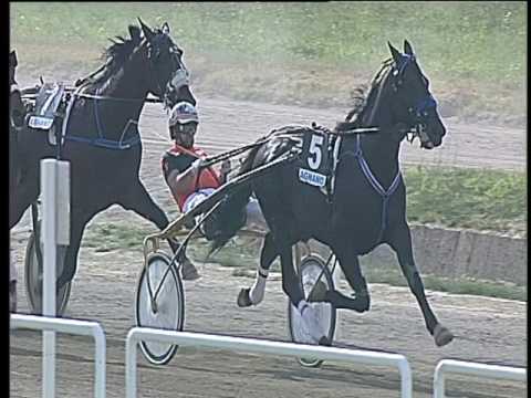 Trotto 15/06/2017 - 4ª corsa