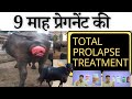 प्रेग्नेंसी में पुख्ता इलाज TOTAL Prolapse Treatment
