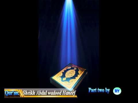 Quran: Part two by Abdul Wadood Maqbool Haneef.