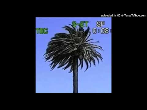 COYO VERA AKA COY GUNNA - COPS COME MUSIC VIDEO LINK IN DESCRIPTION (ft. Polo Perks)