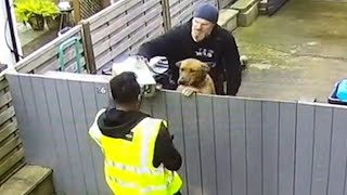 Un chien qui choque un livreur Les animaux les plus drôles filmés sur cctv 🤣