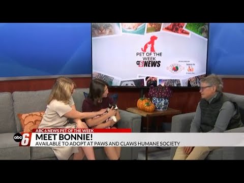 Pet of the Week: Bonnie and Max - YouTube