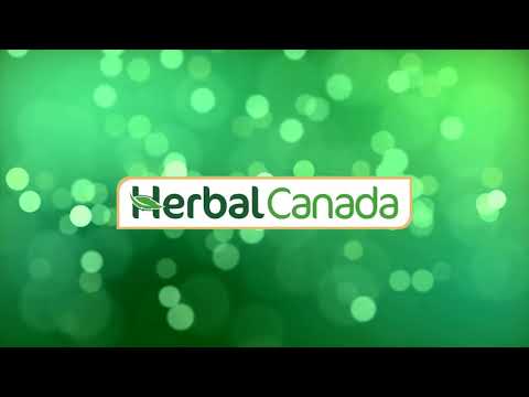 Pure Gond Katira 60 gm, Noida, Packaging Type: Grams