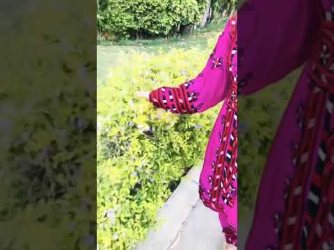 Chammani Waba __ Best Balochi Song