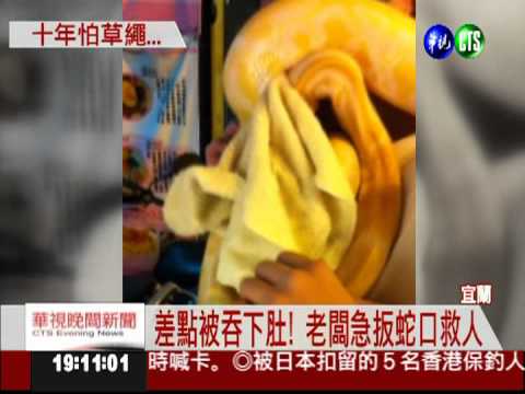高中生逗弄拍照 蟒蛇發狠咬一口