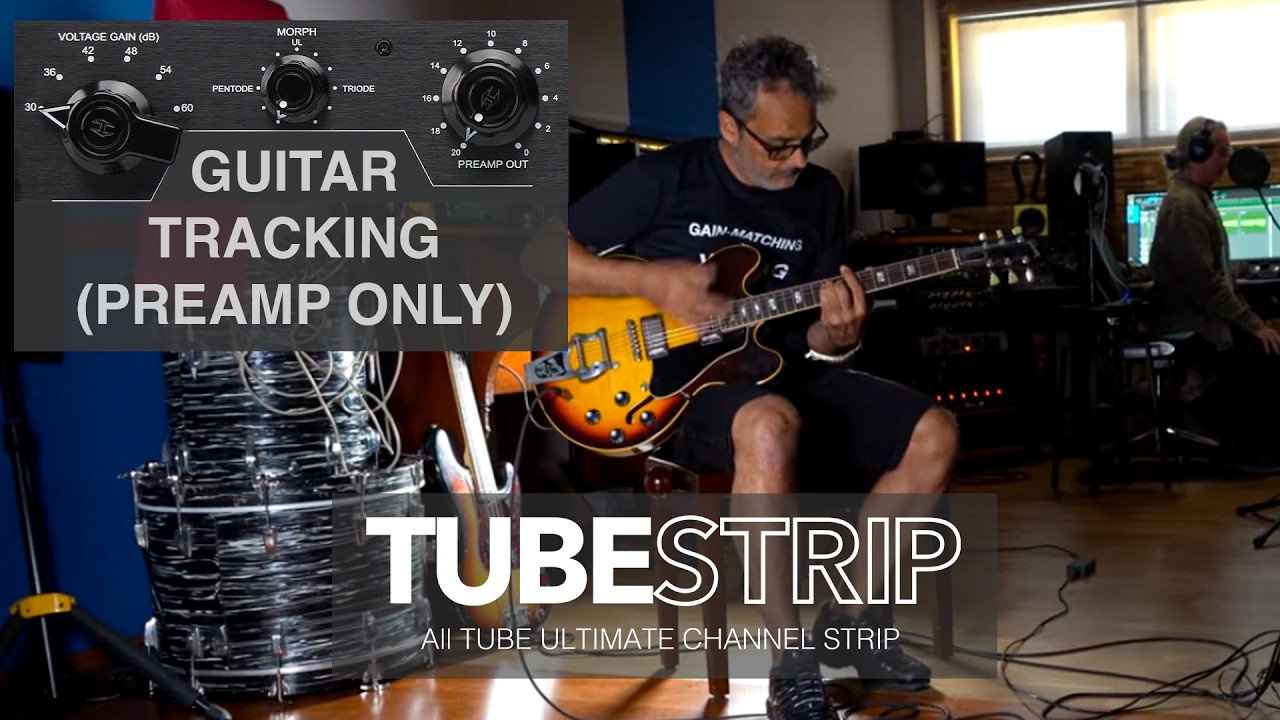 Heritage Audio   TUBESTRIP - Electric Guitar Tracking Preamp Only (NO TALK)