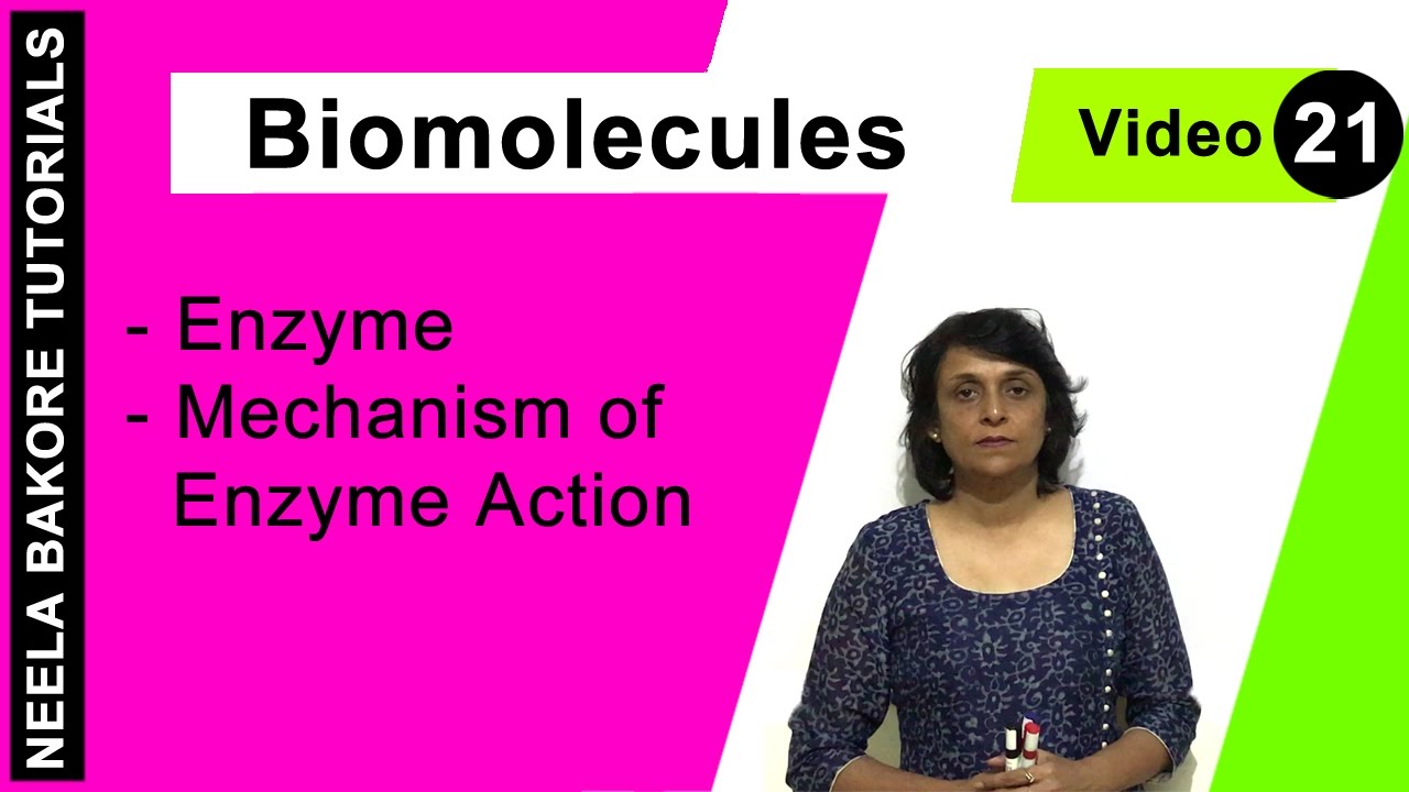 Biomolecules | NEET | Enzyme - Mechanism of Enzyme Action | Neela Bakore Tutorials