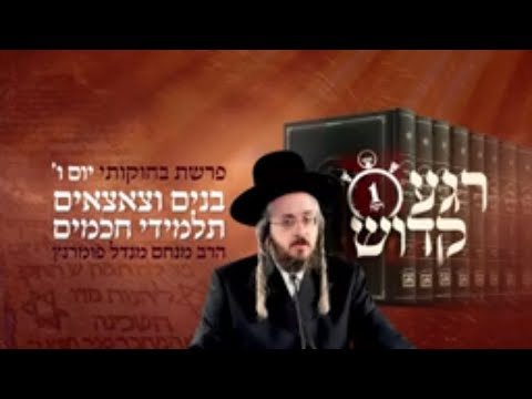 רגע קדוש מהאור החיים - פרשת בחוקותי יום ו'