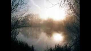 The Beau Brummels - One Too Many Mornings