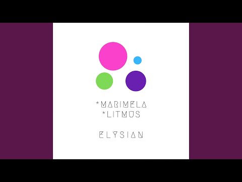 Litmus (Original Mix)