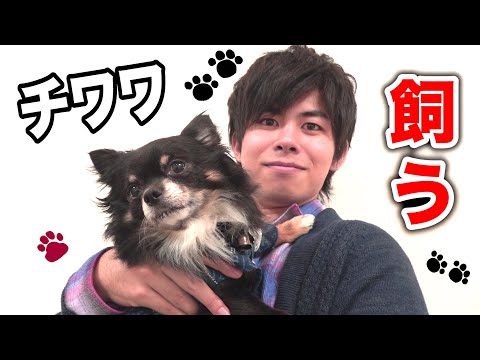 Download ちくわ犬 3gp Mp4 Codedwap
