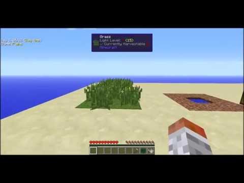 Magical Crops v4.0.0 Ep1- Getting Your First Essence