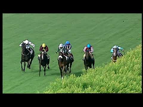 Napoli Galoppo 25/06/2021 - 2ª corsa