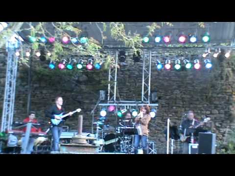 Groovemonkeys - The Best - Live in Wallhausen