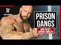 prison gangs how to get convict swole