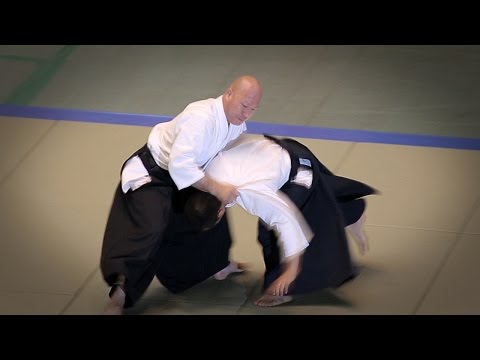 Aikido - Kuribayashi Takanori Shihan - 53rd All Japan Aikido Demonstration (2015)