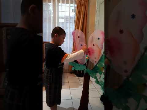 Kupu-kupu yang Berhati Mulia