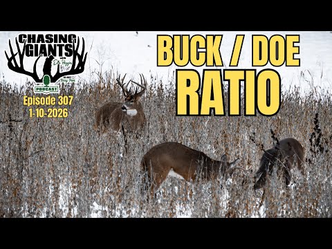 Most Hunters Get This Wrong | The Hard Truth About Killing Mature Bucks | Chasing Giants #307