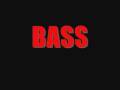 BASS 1 