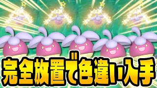 【超簡単】ついに完全放置で色違いアマカジを入手できる場所が見つかりました！【ポケットモンスター スカーレット・バイオレット/SV】