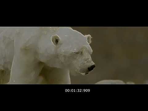 Egotrip 6 - Consomme Consomme