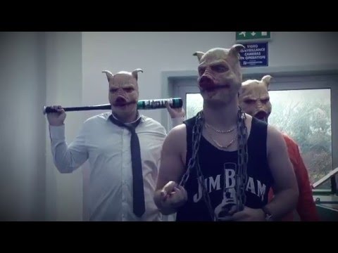 New Valley Wolves - Animal