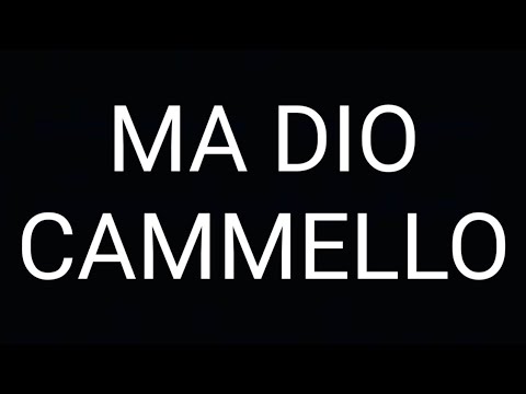 Una normalissima partita piena di bestemmie...