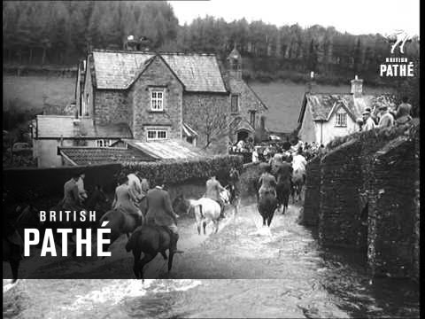 Death Of A Stag (1957)