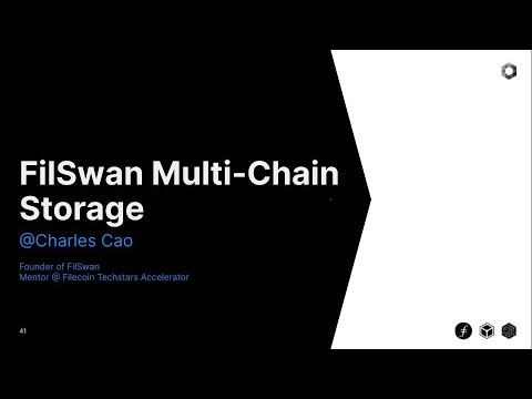 Ecosystem-WG April 2022 Deep Dive: FilSwan's Mult-Chain Storage