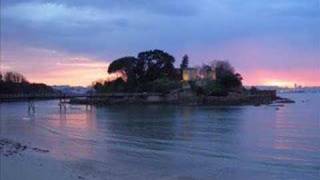 SE ME VA (Elefantes)