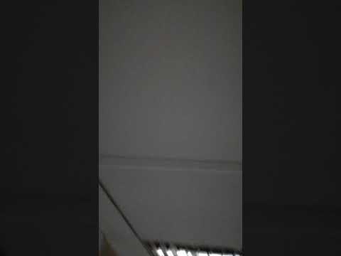 LAMPARAS FLUORESCENTES TIPO DULUX PL-L 36W EN OFICINA