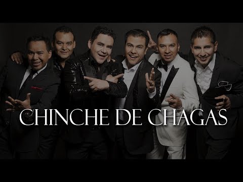 Video Chinche De Chagas (Audio) de El Trono de México