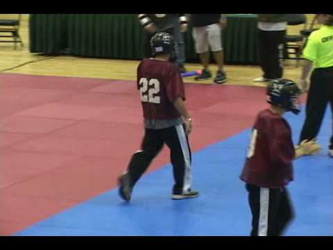 Samurai/Ninja vs Lionheart