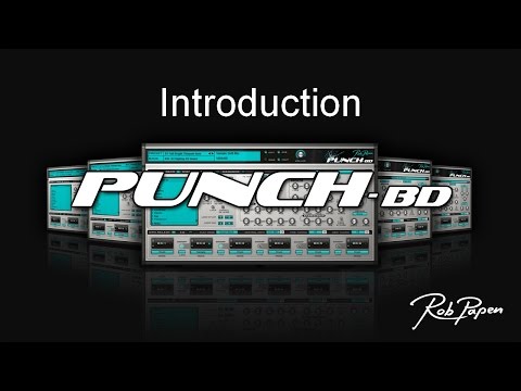 RP Punch-BD Introduction