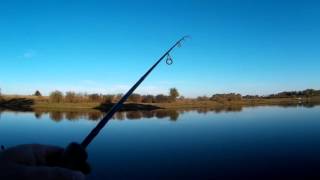 Воблер pontoon 21 greedy guts 88sp sr