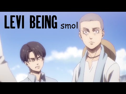 Levi being short (Shingeki No Kyojin)