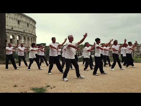 13 Form Yang Family Tai Chi