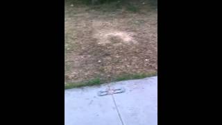 Jewels playing with teddy bear