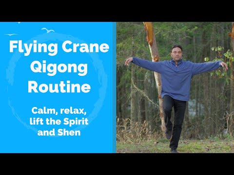 Flying Crane Qigong to Relax and Lift the Spirit - Easy and Simple Routine with Jeffrey Chand