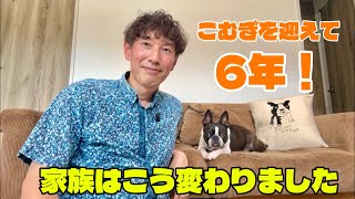 犬を迎えて、家族がこう変わりました。2020年→現在のリアルな家族の変化【ボストンテリア】