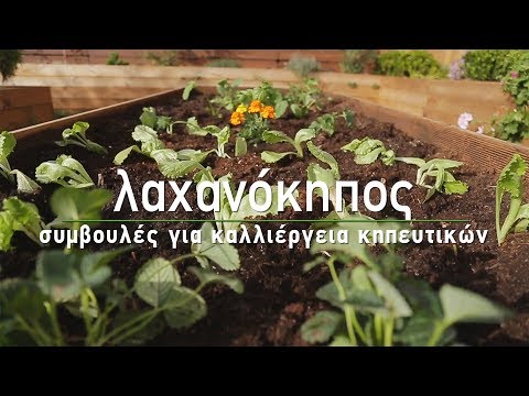 , title : '🥬 Καλλιέργεια λαχανικών και δημιουργία λαχανόκηπου - Τα Μυστικά του Κήπου'