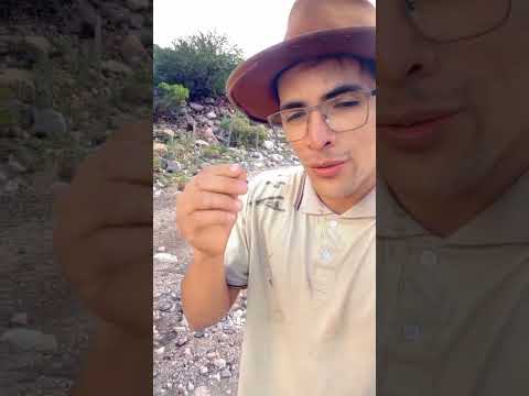 #argentina #nogoli #sanluis #campoargentino
