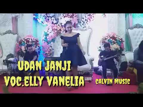 Udan janji - elly vanelia feat calvin music