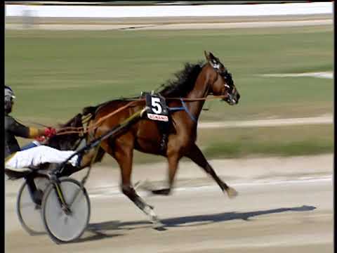 Trotto 30/09/2018 - 2ª corsa