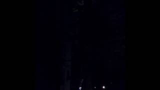 Shiloh. Argument fight