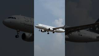 Download lagu Brussels airlines A320 OO-SNQ star alliance livery landing at Brussels airport from Paris mp3